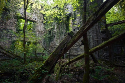 Buchanan Castleabandoned mansion in Scotland, built in 1855 and abandoned in 1954.(more photos here)