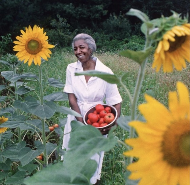 yanthecapricorn:Black Women and their harvests🌿🧺🍅🥬