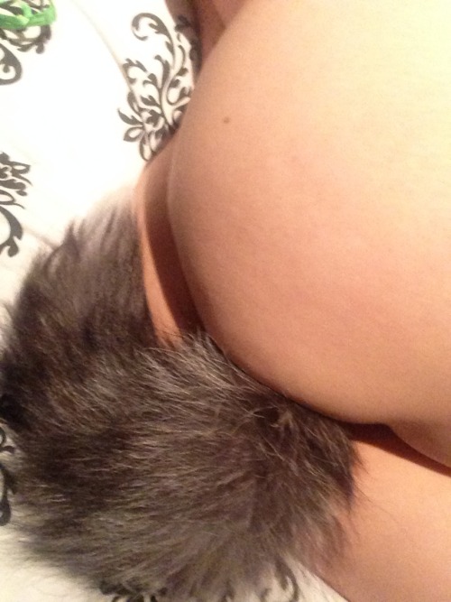 sinfulredeemer:  Baby kitten and her adorable tail. 