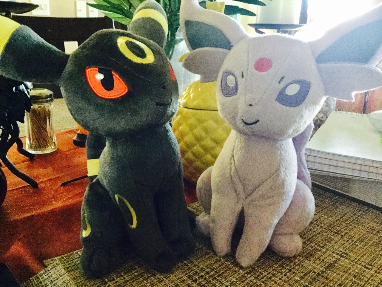 my new homework companions 