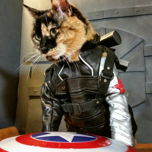 cat-cosplay:“Five years ago I was escorting a nuclear engineer out of Iran, somebody shot at my tire