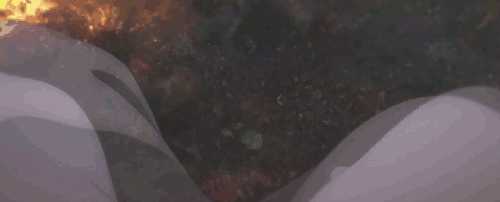 ph811:魔道祖师 /Mo Dao Zu Shi / The Founder Of Diabolism