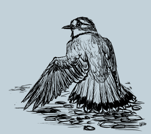 Digital Inktober Day 9: BrokenKilldeer, a type of shorebird, nest on the ground instead of in trees.