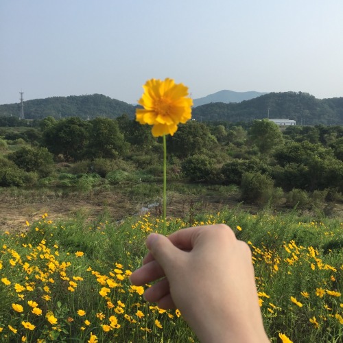 https://jonhi07.tumblr.com/post/137833071995
