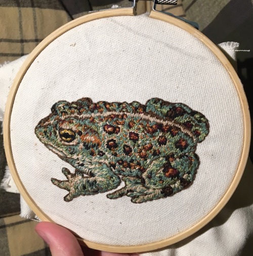 fuckyeahneedlework:the-tiniest-teapot:a toad! i barely finished this in time for secret santa yester