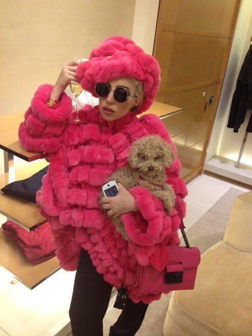 Lady Gaga with her Poodle friend…