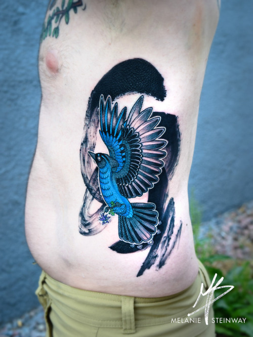 Stellar’s Jay clutching a tiny columbine flower with brush stroke. Thank you Nicholas for comi