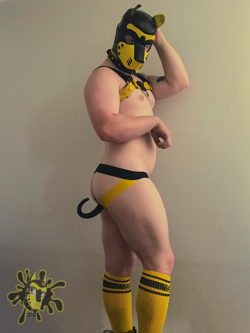 milo-pup:  Decided to make dress up and try to make myself feel good today.