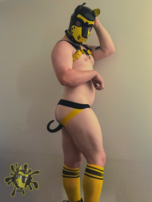 Sex milo-pup:  Decided to make dress up and try pictures