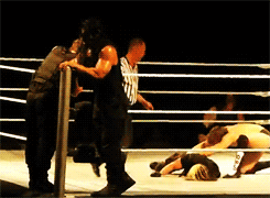  the shield » poughkeepsie house show (x)     