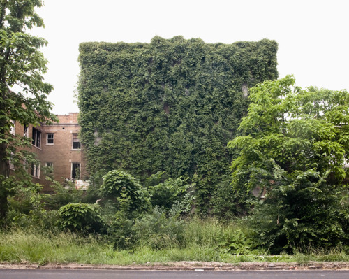 jenbekmanprojects:  Feral House #13 and Feral House #7 by James Griffioen “As the city of Detroit disappears, nature is flourishing. I am interested in the duplicity of plant life in Detroit as both blindly innocent and somehow deeply sinister. The