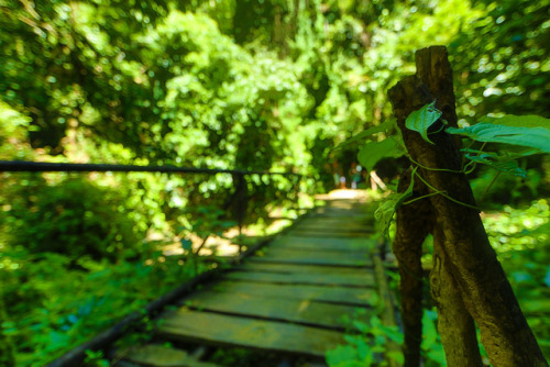 soon-monsoon:Bandarban, Chittagong Hill Tracts, Bangladesh by Sharif Mustaque