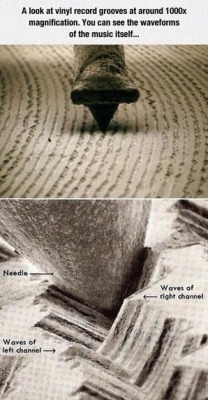 asapscience:  A vinyl record close-up![http://bit.ly/2fus91z]