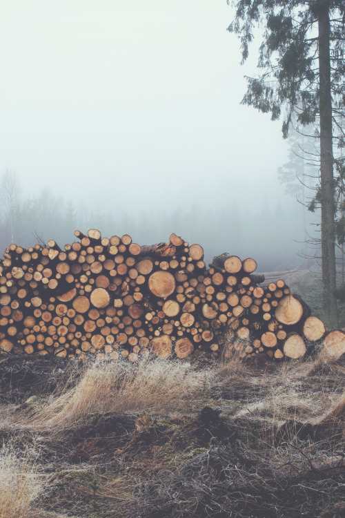vertical-ups: By Jonas Nilsson Lee
