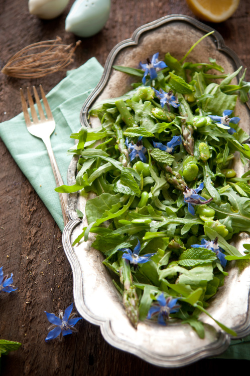 “Spring Herb Salad with Fava Beans, Young Asparagus and Fresh Mint”