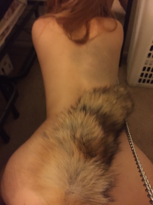 puppibear:finally using the tail