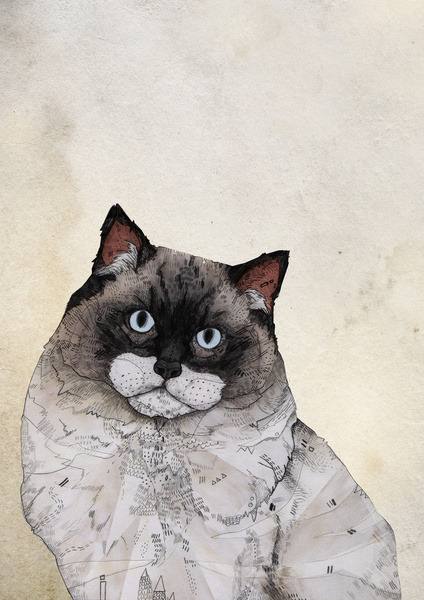 lohrien:  Illustrations by Sandra Dieckmann  society6 l tumblr l website 