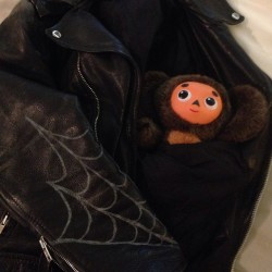 officialashleypurdy:  Cheburashka..!! 