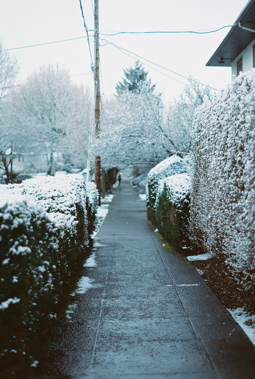 eluting: hellanne: Snow. (by FrancescaTP) .