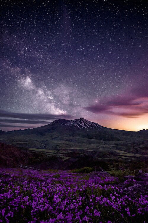 tallis-forest:  Blu on We Heart It.