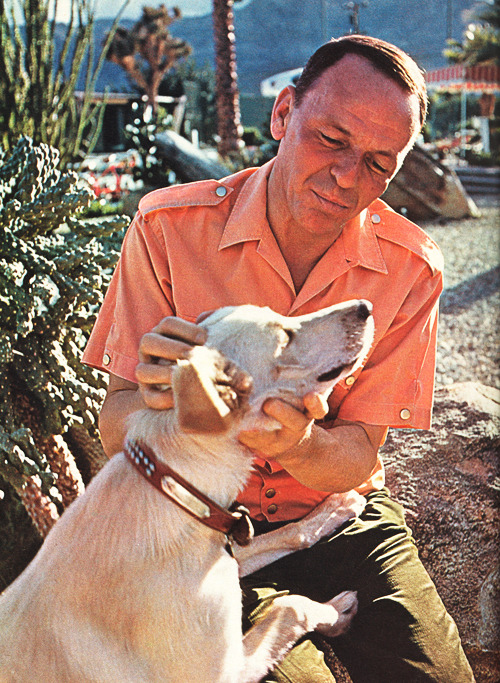foreverfranksinatra:  Frank and Ringo photographed at his Palm Springs home. 