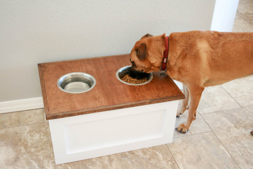 DIY Dog Food Station With Storage | Addicted 2 DIY