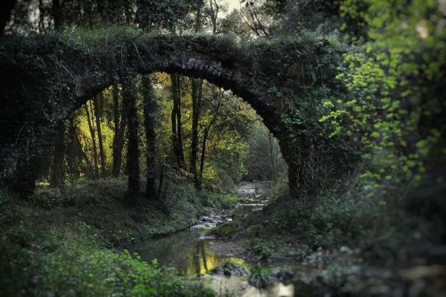 alrauna:  The remains of the Roman aqueduct of La Bouillide near Valbonne, France                   