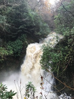 floralmess:Honestly, Wales was breathtaking. These are the waterfalls at Devil’s Bridge.