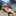 2thickyz: