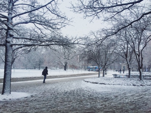 Winter 2016, Purdue University campus, West Lafayette, IN.