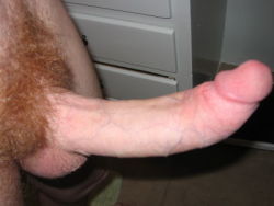 Huge ginger cock