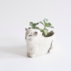 leahreena:  New ceramics are up on shop.leahgoren.com ! This lil guy already sold, but there are plenty of other cats still up for adoption