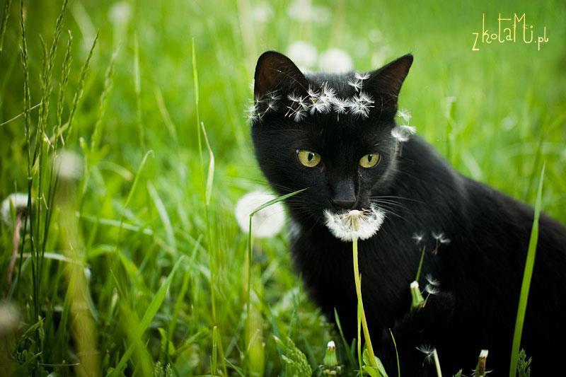 “I always try to wear hats that match the colour of my mustache.”
Photo by ©zKotami