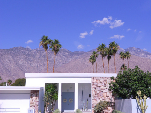 Palm Springs. Foto: BlackPalm. | cannfire.com