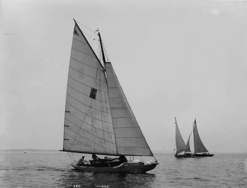 Midge John S. Johnston, 4 July 1898Detroit Publishing Company photograph collectionLibrary of Congre