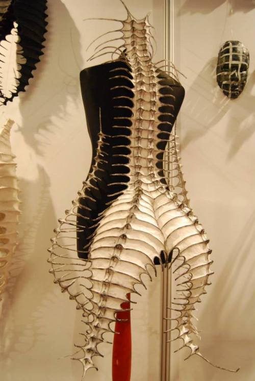 sirensongfashion:  Nika Danielska Design 