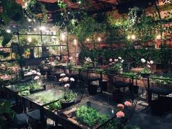 tselmc:Aoyama Flower Market Tea House in