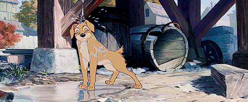 disneyfeverdaily: Lady and the Tramp (1955) - dir. Clyde Geronimi, Wilfred Jackson