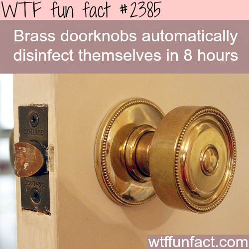 Porn Pics wtf-fun-factss:  Brass doorknobs disinfect