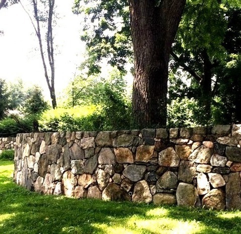 Pathway Landscape