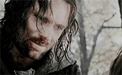 klausmikelsons:Aragorn in the Fellowship of the Ring