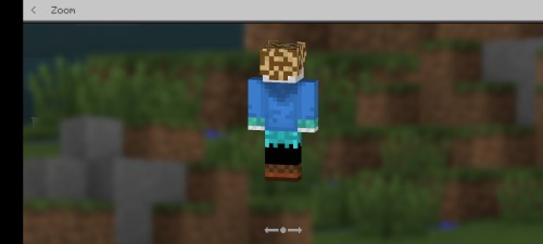 My Minecraft Skin!