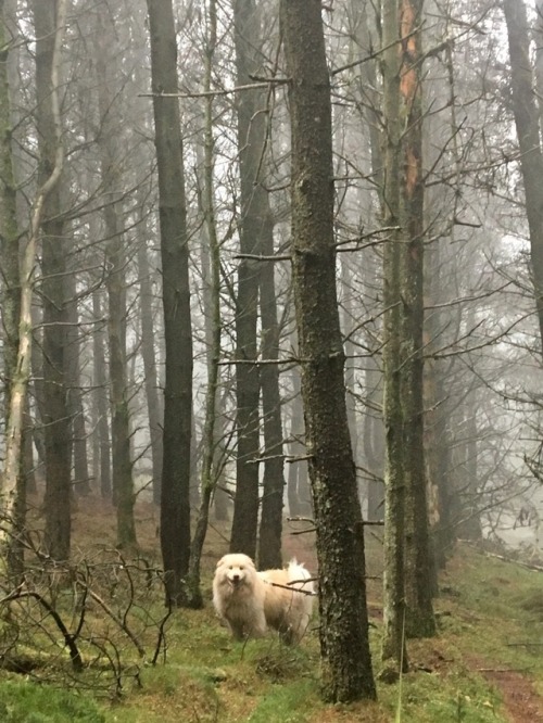 Scottish weather Drumtochty Forest, Aberdeenshire, March &lsquo;17