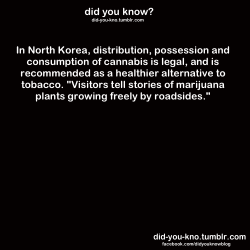 did-you-kno:  Source  I can just see all the american potheads forgetting all about the standoff both countries have, their own supposed &ldquo;morals and ethics&rdquo; about freedom and what not for this.