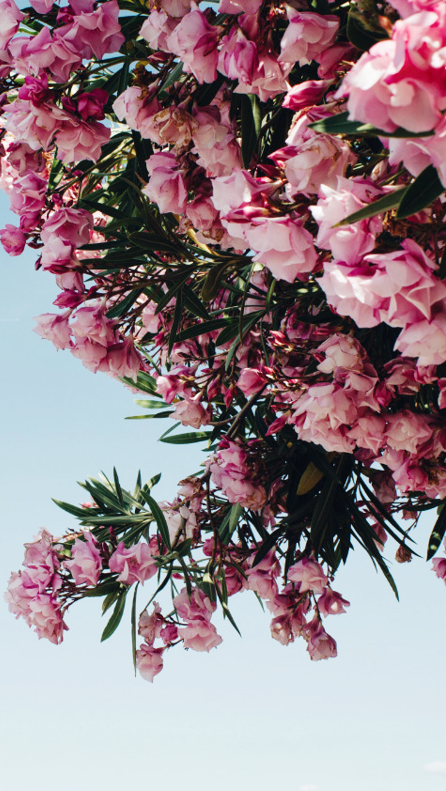 only-pack-for-twitter:  click pics for hq + full sizelike/reblog if savingily xx