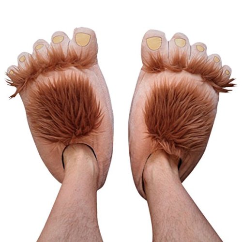 Novelty Animal Claws Plush Slippers for Men/Women Warm Velveteen Loafer Shoes Where to buy and Price