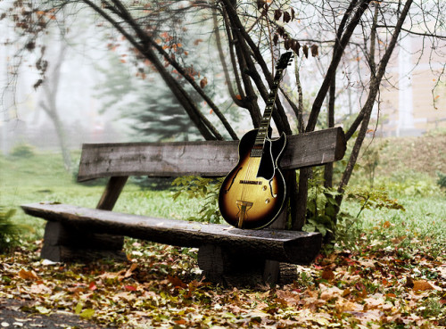 Love Songs by maikondrums on Flickr.