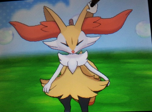 foolishcreature: What I was waiting for the most: Braixen in Pokemon Amie! Everyone beware of the ts