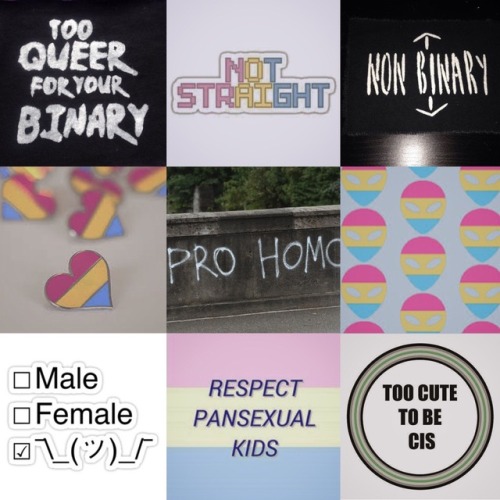 lgbtlovemoodboard:Requested by @deadrainbowz “genderqueer/pansexual pride aesthetic”