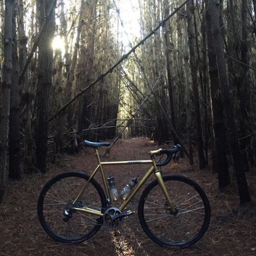 dfitzger: by @thevanillaworkshop: @bearthebrunt logging some holiday miles on his solid gold Rugged 